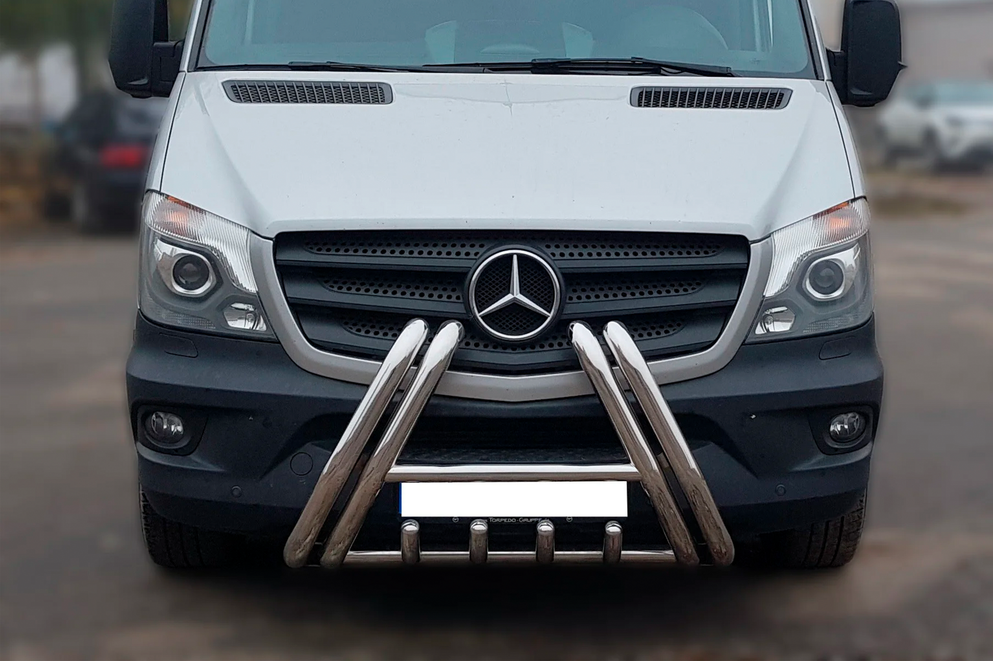 Bull Bar F1-01 (2013-2018, Stainless Steel) for Mercedes Sprinter W906 2006-2018 - image 1