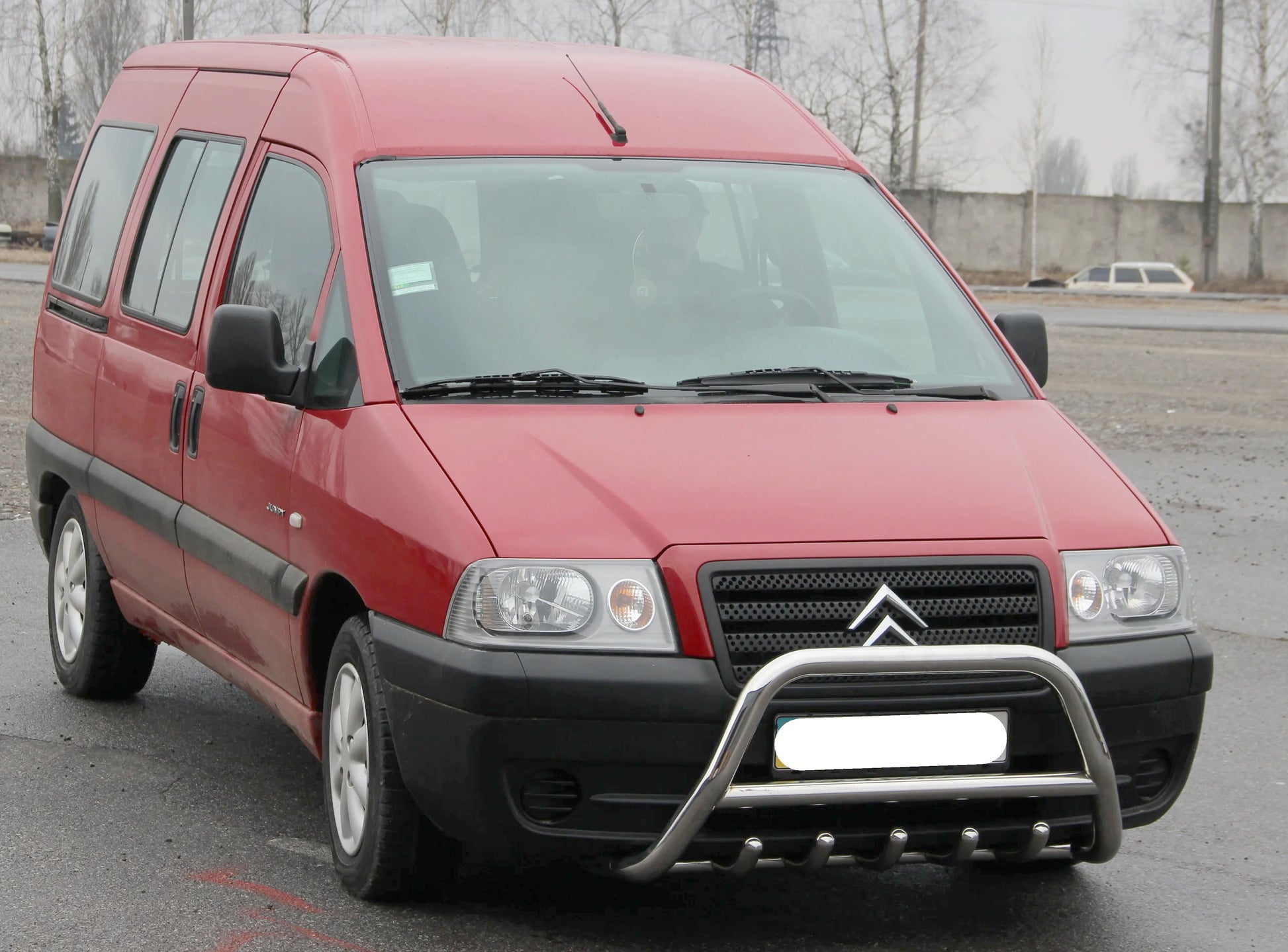 Bull Bar WT003 (Stainless Steel) for Peugeot Expert 1995-2007 - image 3