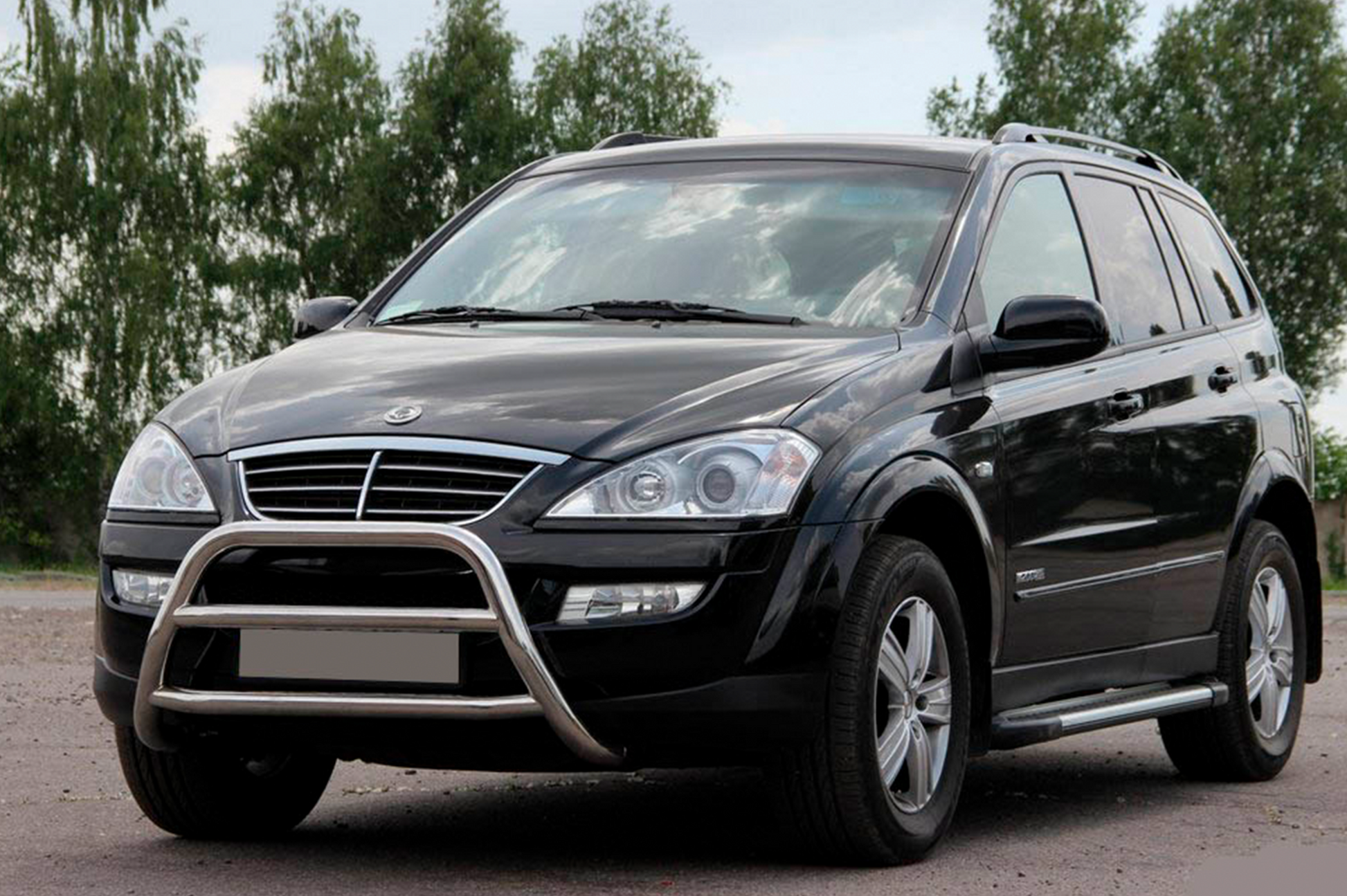 Bull Bar WT022 Stainless Steel for SsangYong Kyron 2005-2014 - image 1