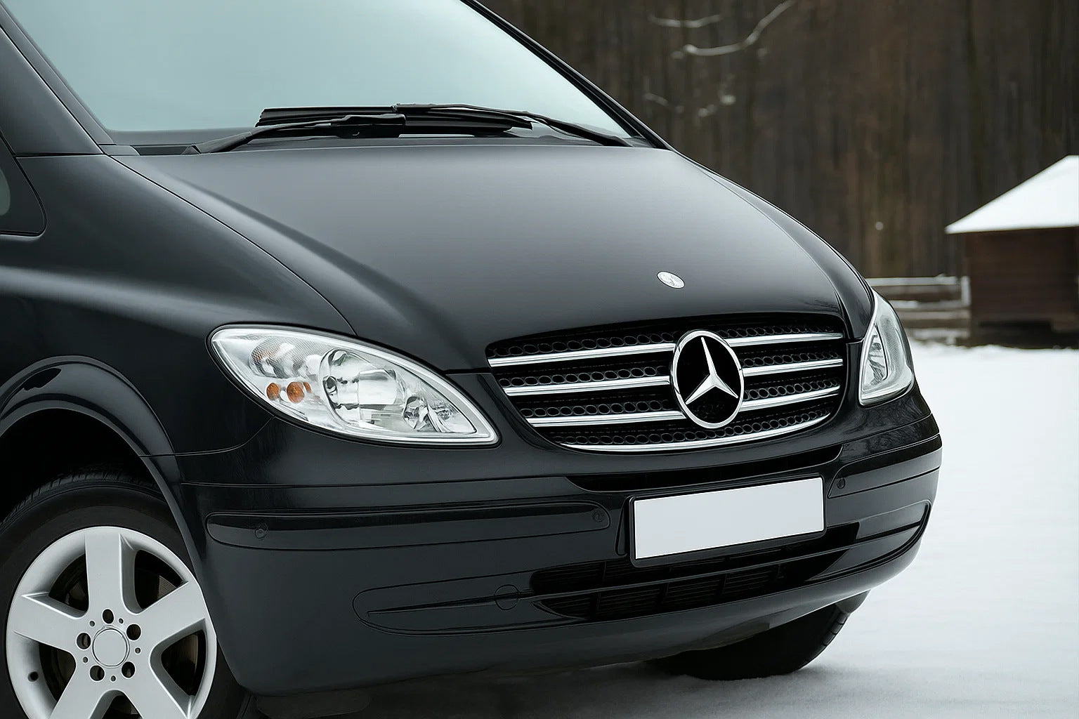 Grille Trim 2004-2010 Stainless Steel for Mercedes Vito W639 2004-2014 - image 1