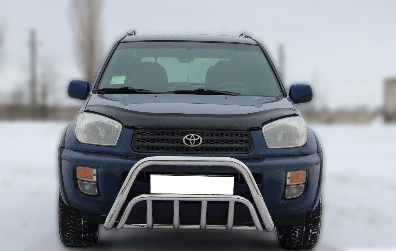 Front Bar WT002 (Stainless Steel) for Toyota Rav 4 2001-2005 - image 1