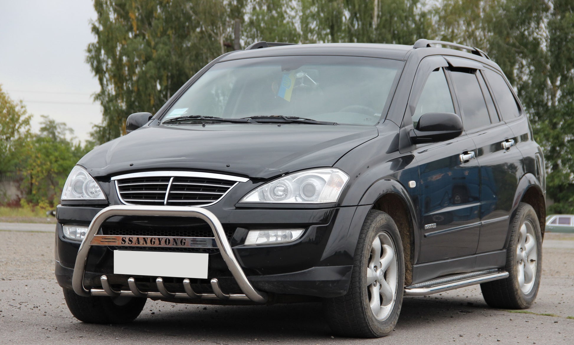 Bull Bar WT004 Stainless Steel for SsangYong Kyron 2005-2014 - image 3