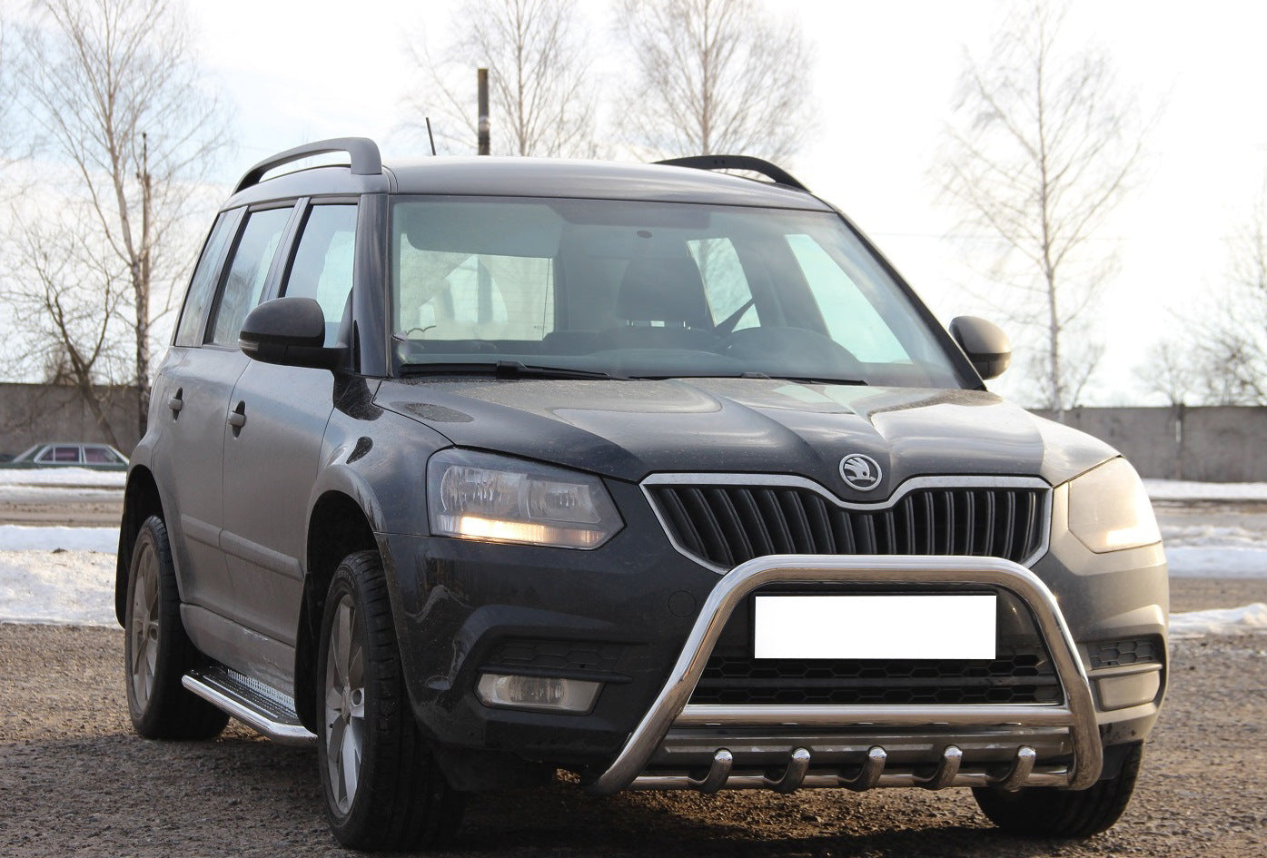 Bull Bar WT003 (Stainless Steel) for Skoda Yeti 2009-2017 - image 4