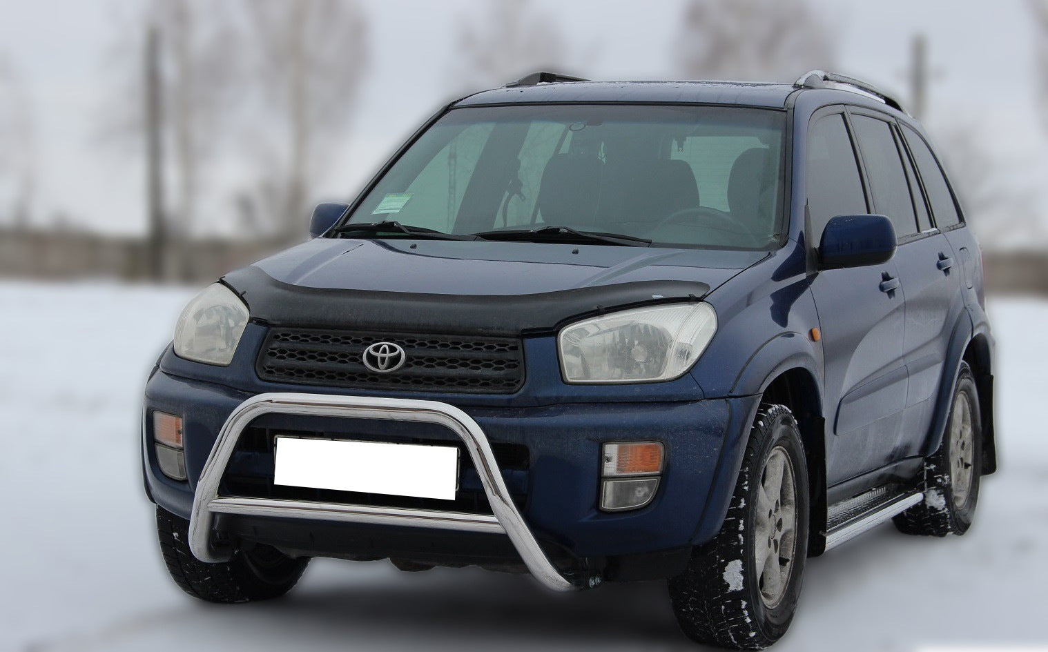 Bull Bar WT005 (Stainless Steel) for Toyota Rav 4 2001-2005 - image 2