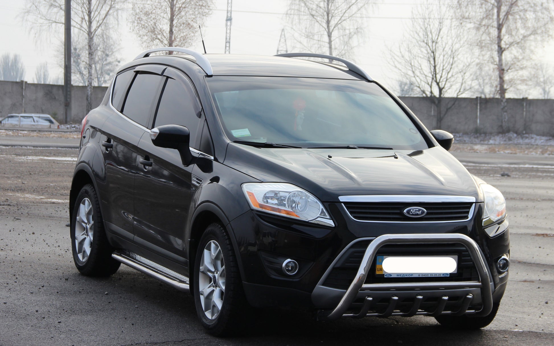 Bull Bar WT003 (Stainless Steel) for Ford Kuga 2008-2013 - image 3