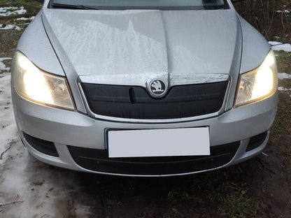 Winter cover on the grille (bottom) for Skoda Octavia II A5 2010-2013 - image 2