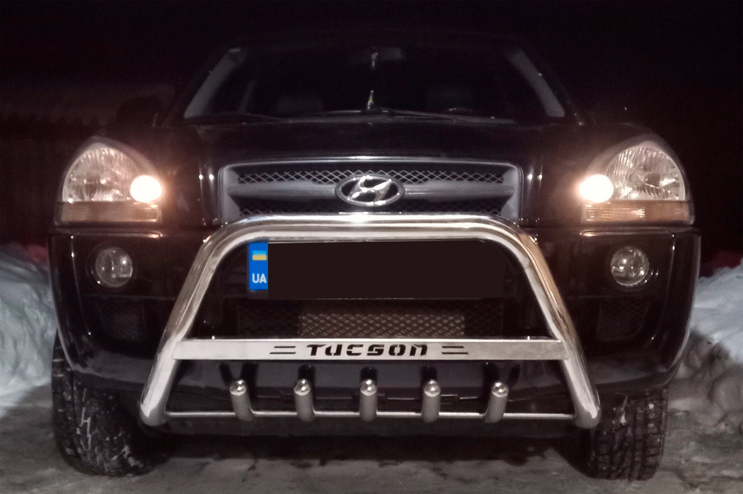 Bull Bar WT004 (Stainless Steel) for Hyundai Tucson JM 2004- - image 3