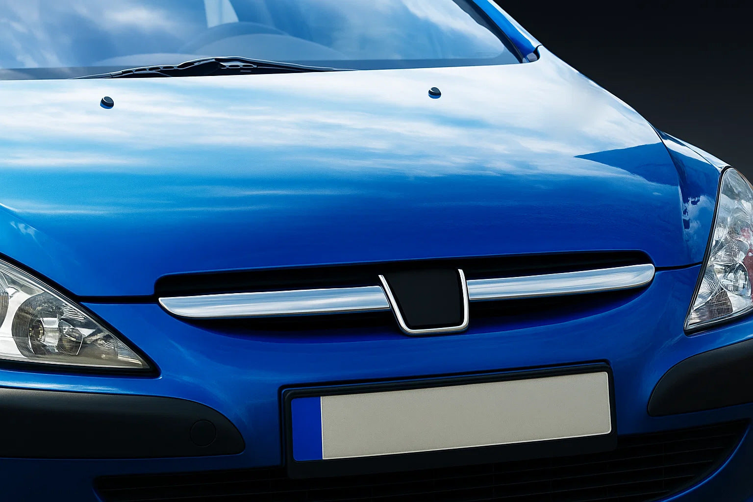 Chrome Grille Covers (2001-2005, 2 pcs, stainless steel) for Peugeot 307 2001-2008 - image 1