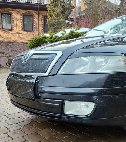 Winter cover on the grille (bottom) for Skoda Octavia II A5 2006-2010 - image 2