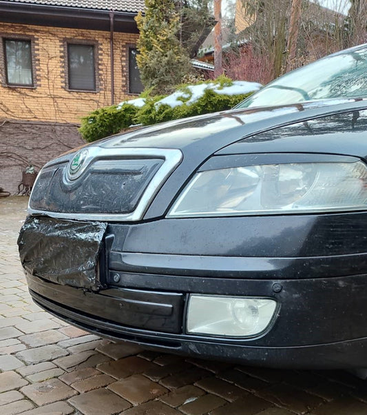 Winter cover on the grille (bottom) for Skoda Octavia II A5 2006-2010 - image 2