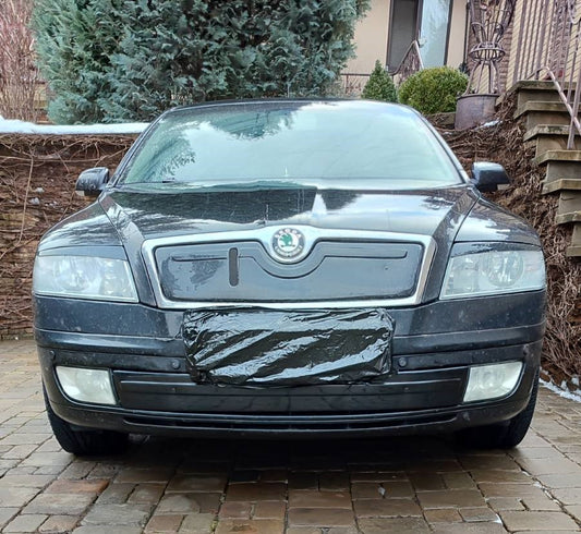 Winter cover on the grille (bottom) for Skoda Octavia II A5 2006-2010 - image 1