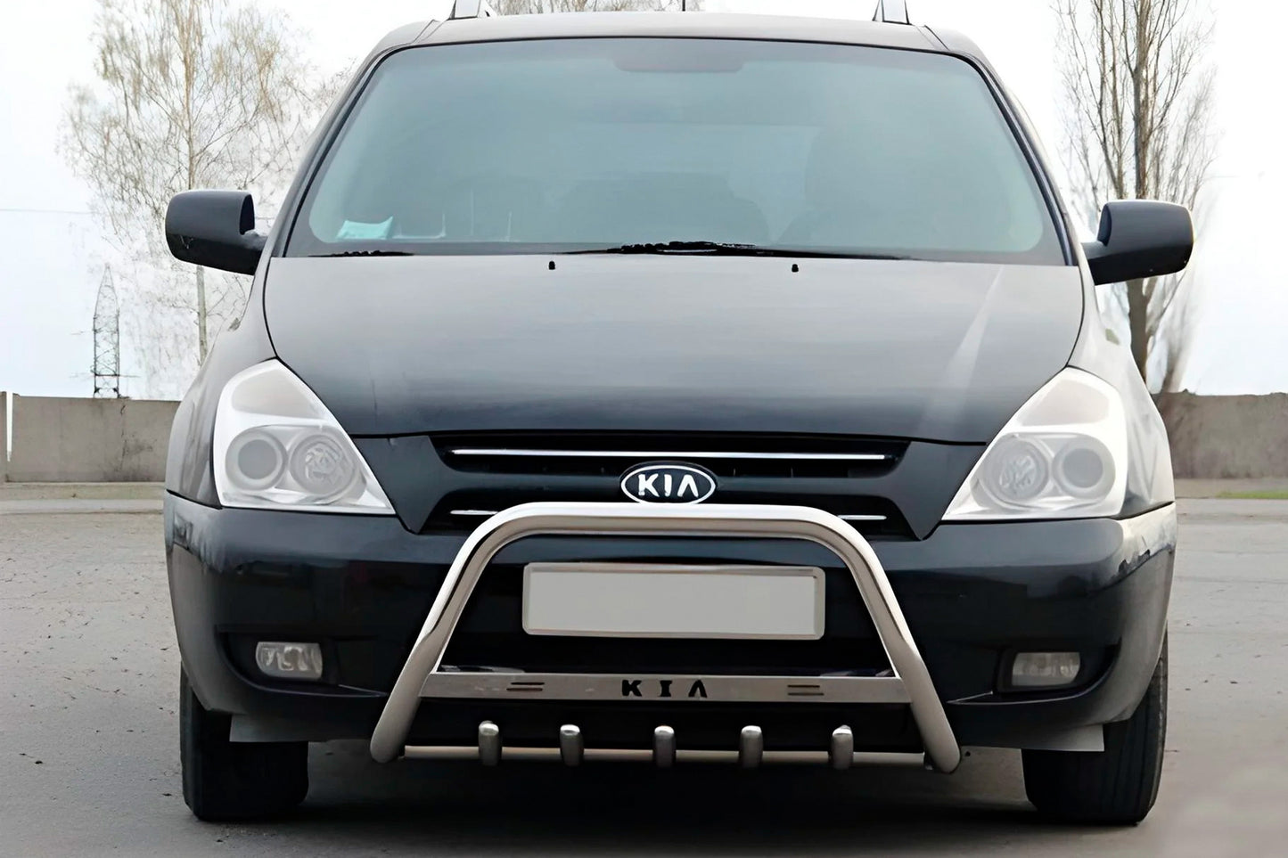 Bull Bar WT004 Stainless Steel for Kia Carnival 2002-2013 - image 1