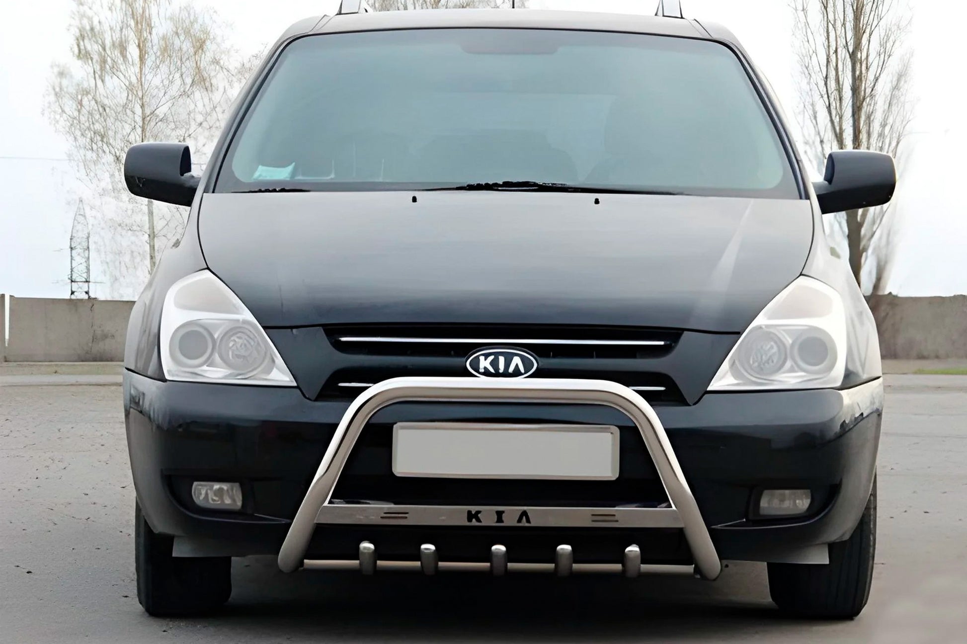 Bull Bar WT004 Stainless Steel for Kia Carnival 2002-2013 - image 1