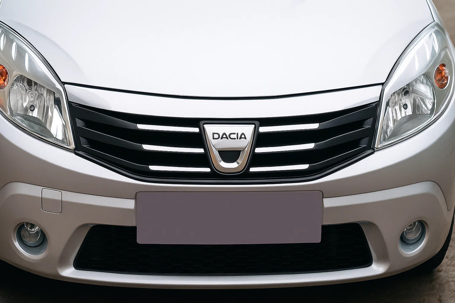 Front Grille Trim (Stainless Steel) for Dacia Sandero 2007-2013 - image 1