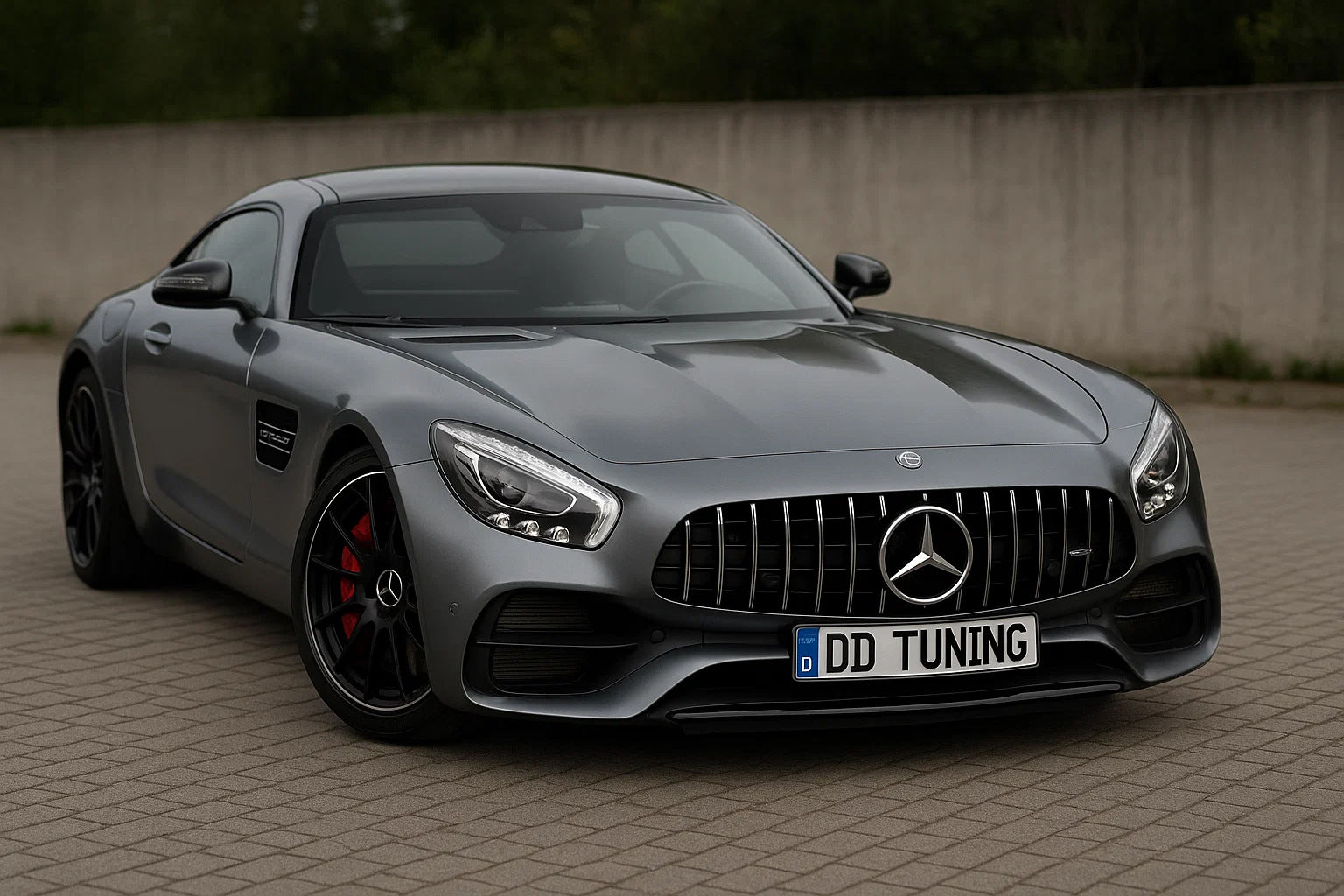 Front Grille GT Panamericana (2014-2017) for Mercedes AMG GT C190/R190 2014-2022 - image 1