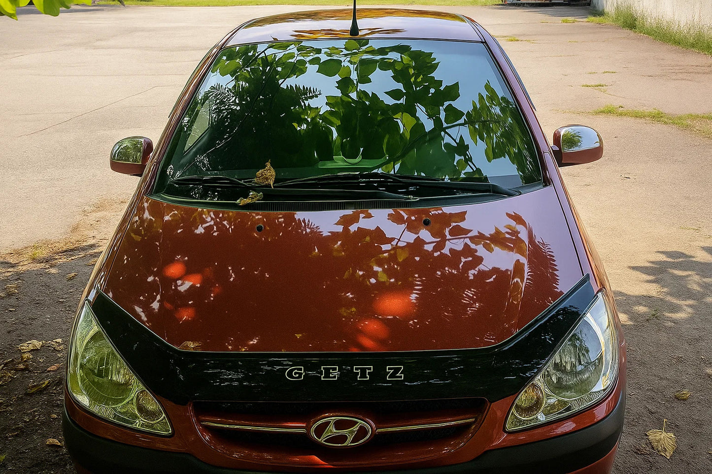 Mirror top covers (2 pcs, plastic) for Hyundai Getz 2002- - image 3