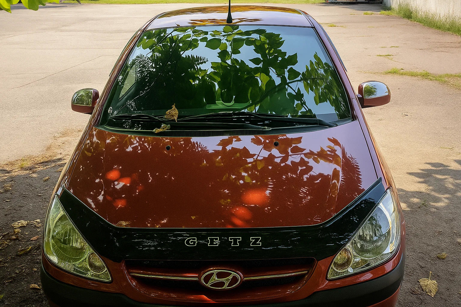 Mirror top covers (2 pcs, plastic) for Hyundai Getz 2002- - image 3