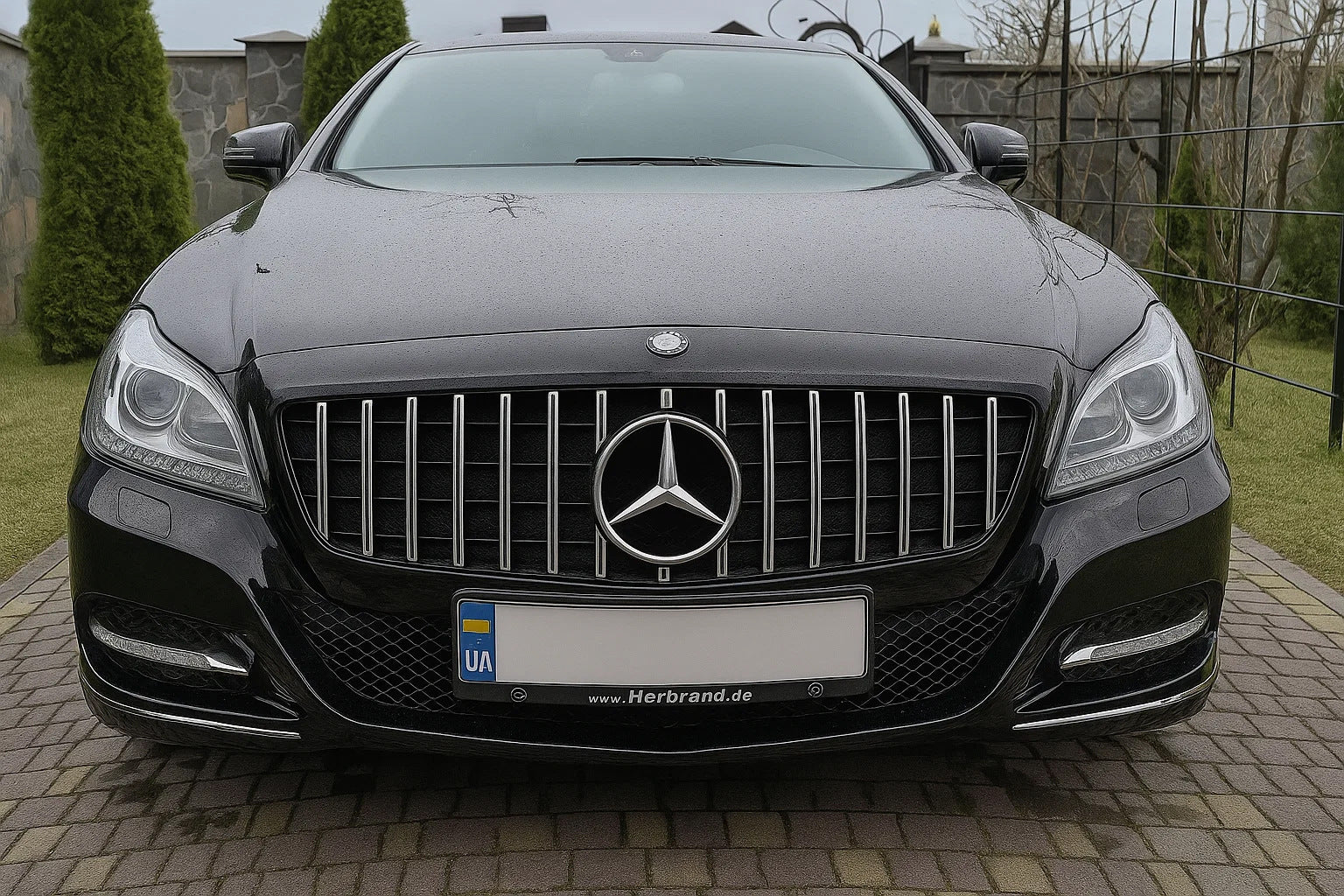 Front Grille 2011-2014 (GT Panamericana) for Mercedes CLS C218 2011-2018 - image 2