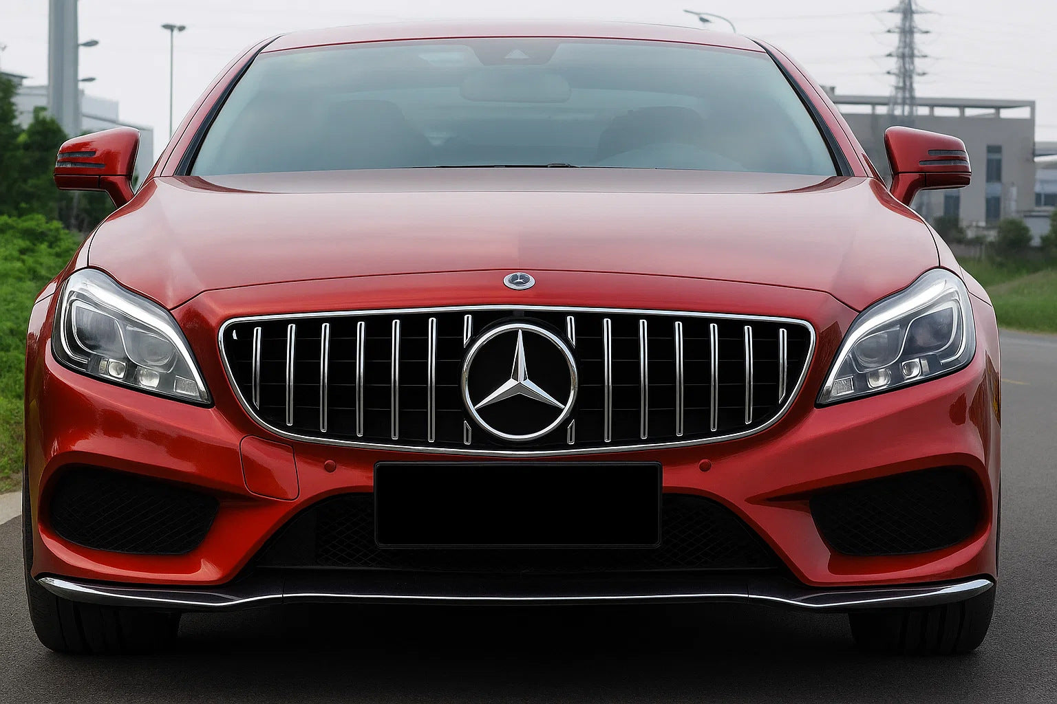 Front grille with frame 2014-2018 (GT Panamericana) for Mercedes CLS C218 2011-2018 - image 2