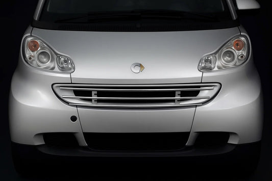 Front grille guard for Smart 2007-2014 - image 1