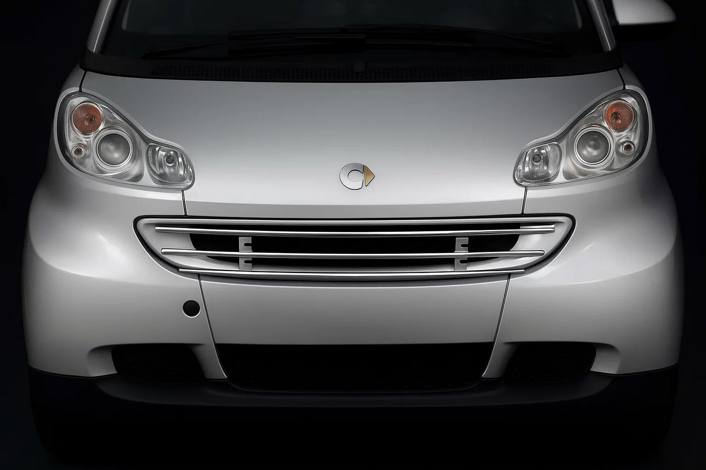 Front grille guard for Smart 2007-2014 - image 1