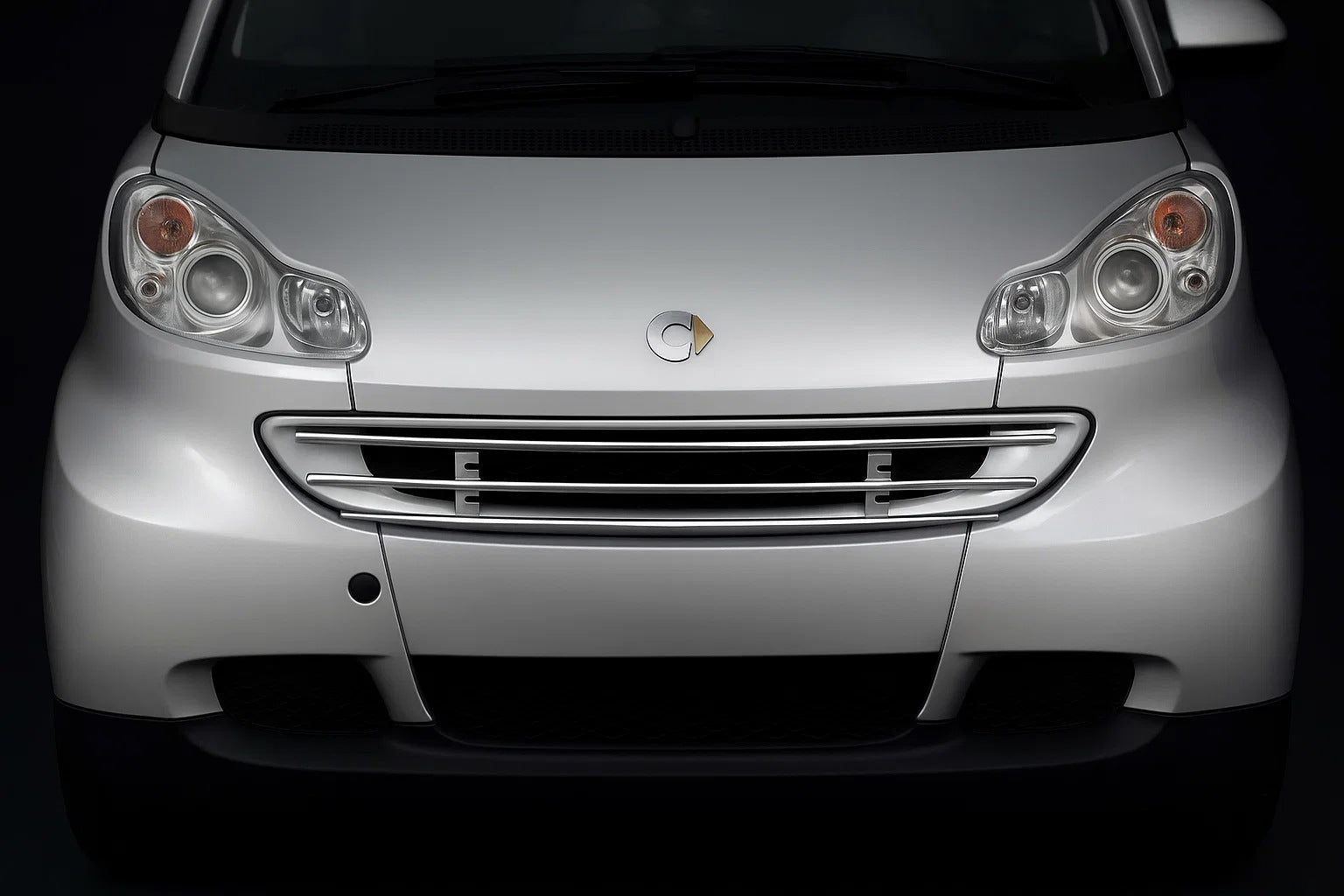 Front grille guard for Smart 2007-2014 - image 1