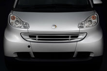 Front grille guard for Smart 2007-2014 - image 1