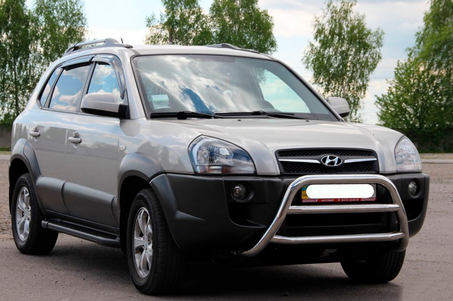 Bull Bar WT022 (Stainless Steel) for Hyundai Tucson JM 2004- - image 3