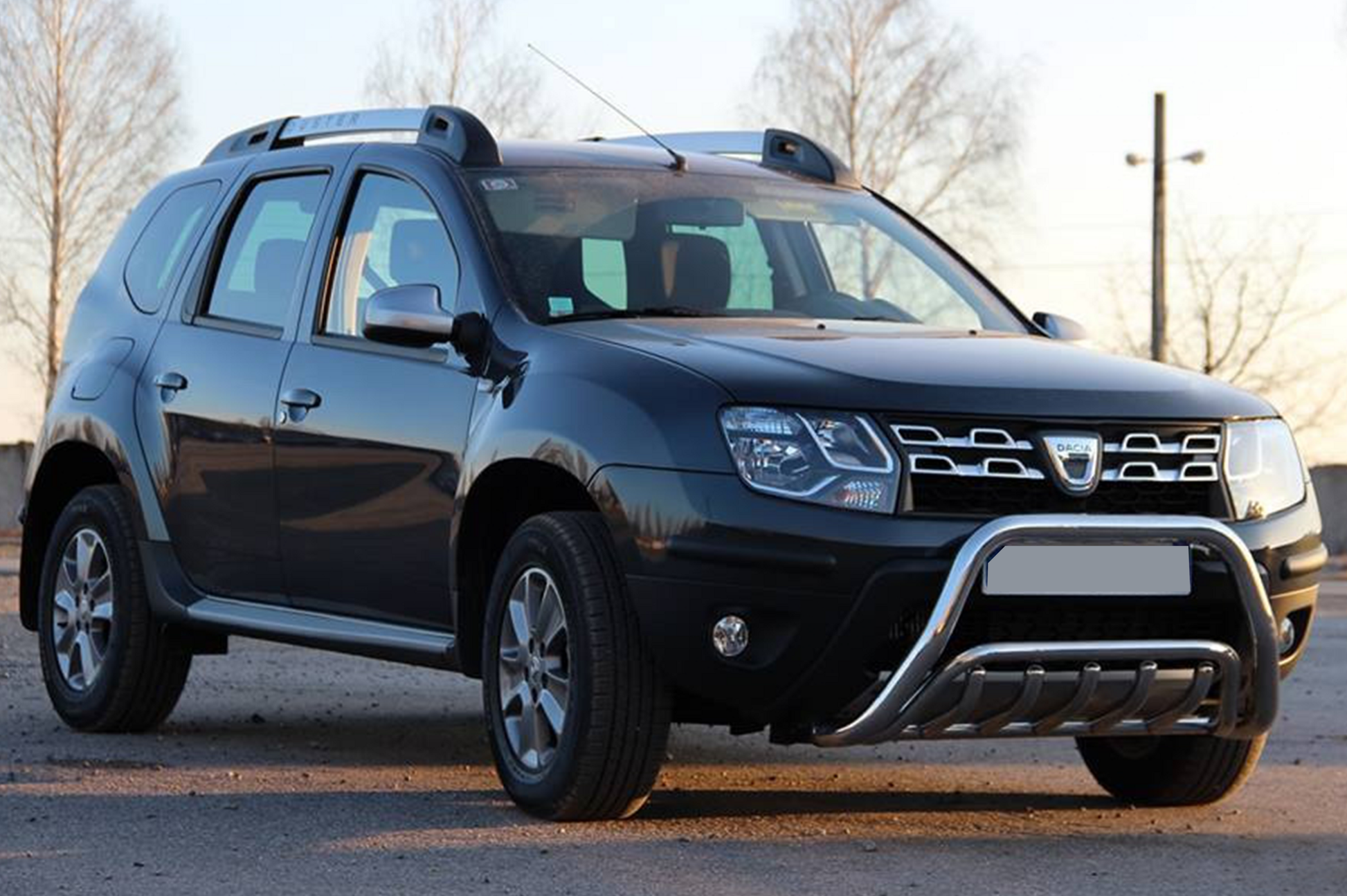 Bull Bar WT002 (Stainless Steel) for Renault Duster 2008-2017 - image 2