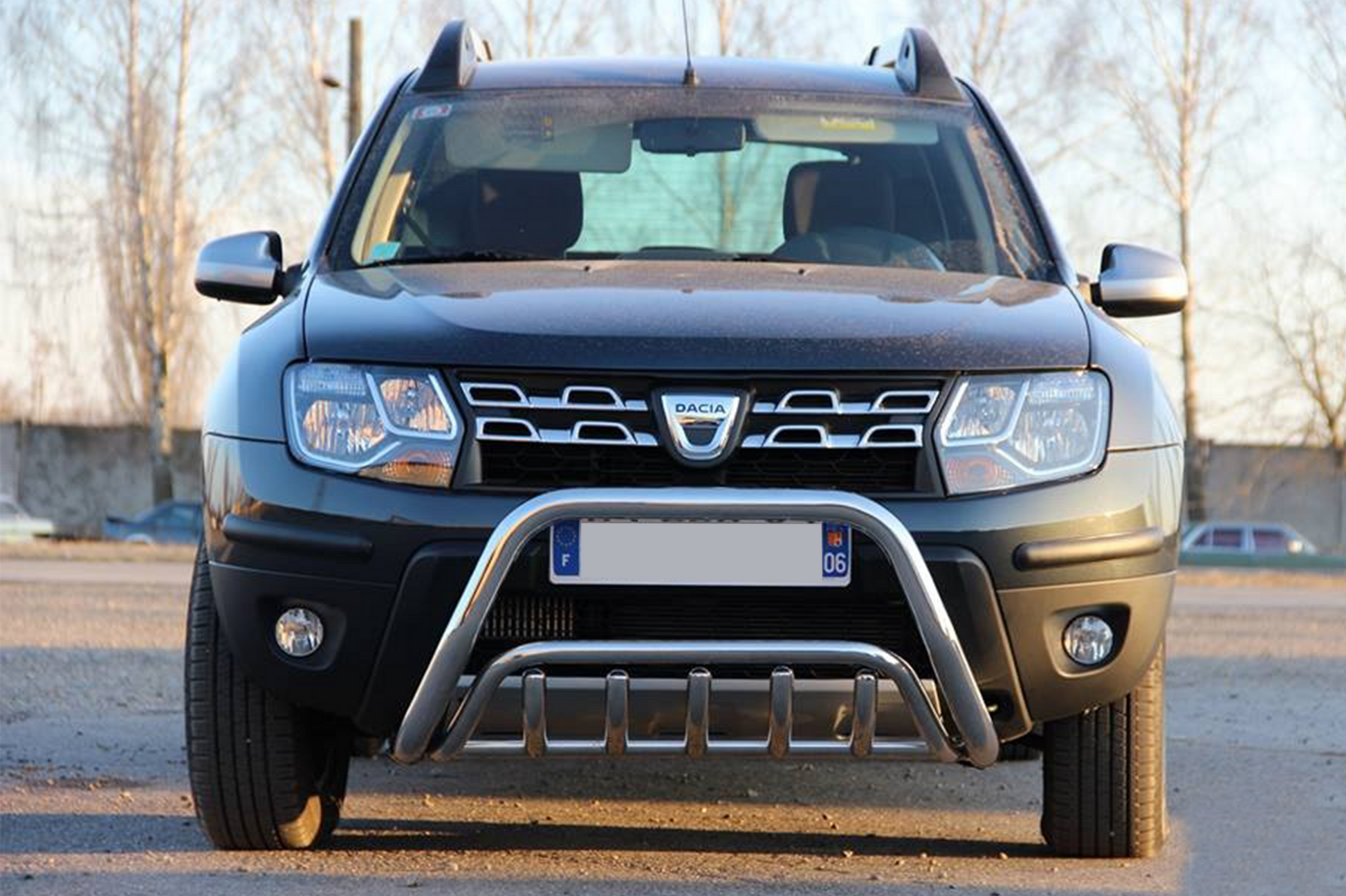Bull Bar WT002 (Stainless Steel) for Renault Duster 2008-2017 - image 3
