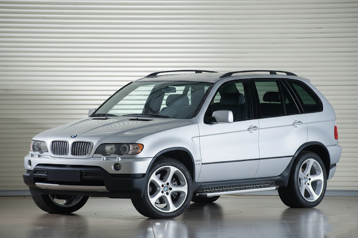 Side Steps Tayga Grey (2 pcs, aluminum) for BMW X5 E53 1999-2006 - image 1