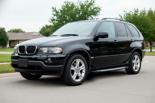 Side Steps Line (2 pcs, Aluminum) for BMW X5 E-53 1999-2006 - image 1