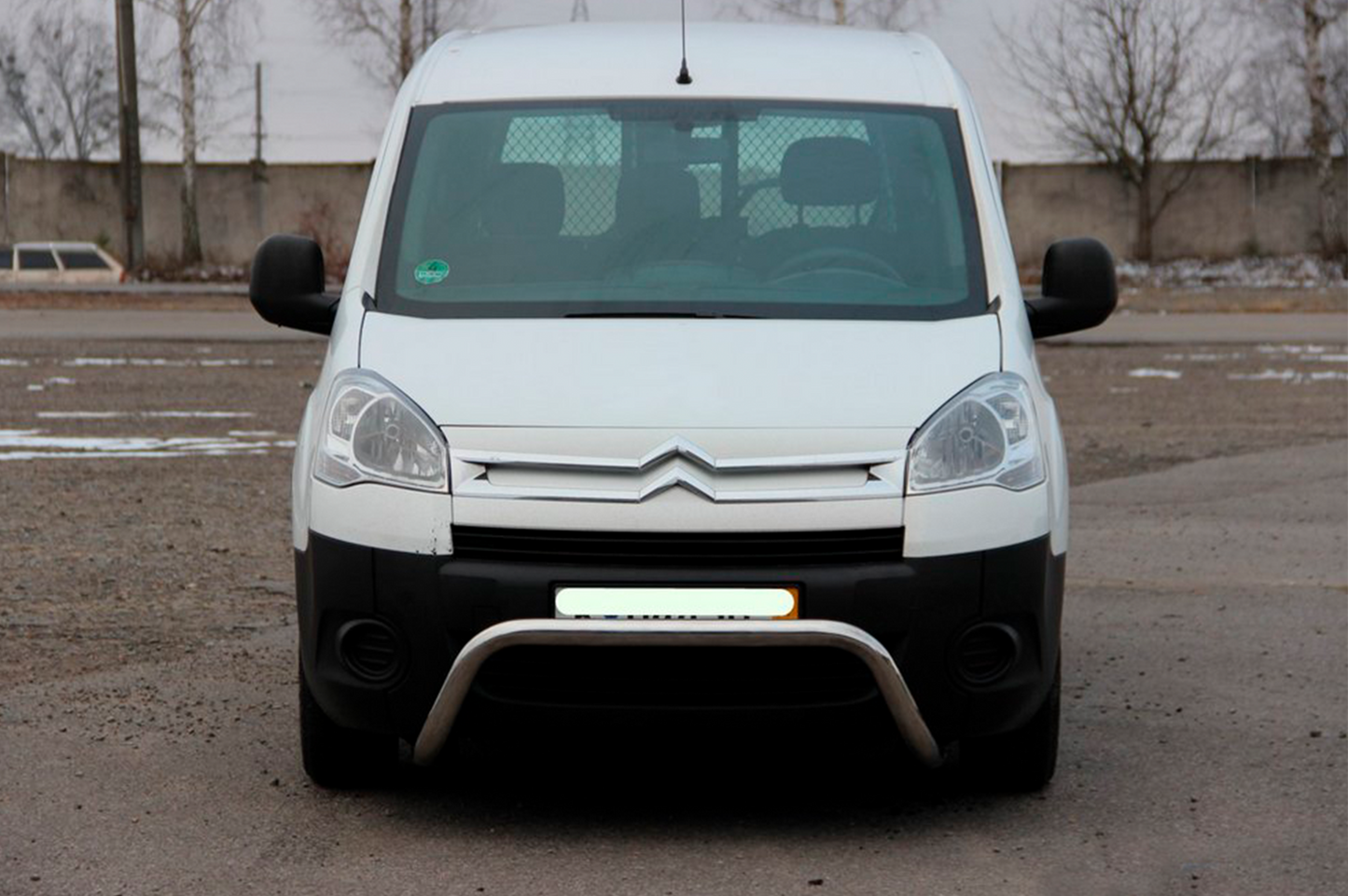 Bull Bar WT007 (Stainless Steel) for Citroen Berlingo 2008-2018 - image 2