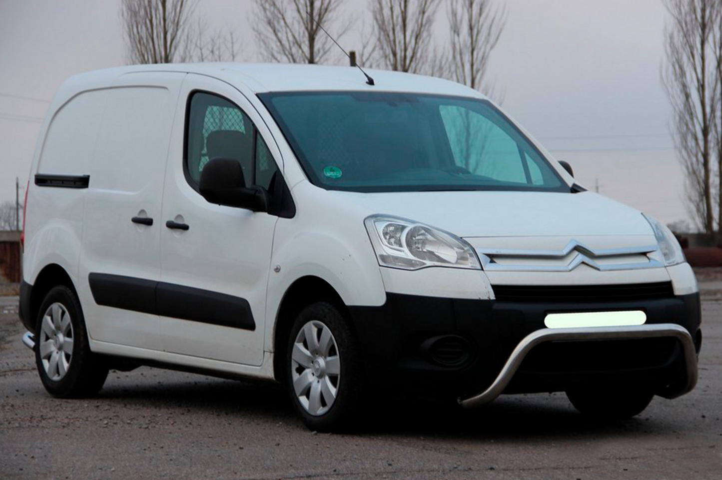 Bull Bar WT007 (Stainless Steel) for Peugeot Partner Tepee 2008-2018 - image 3