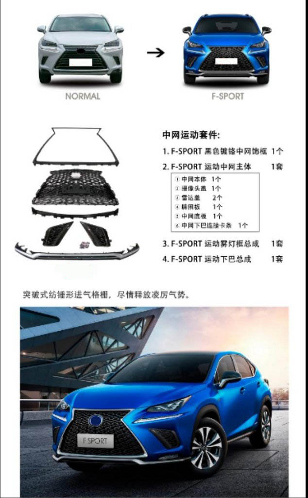 Front grille with lip F-Sport (2018+) for Lexus NX 2014-2021 - image 1