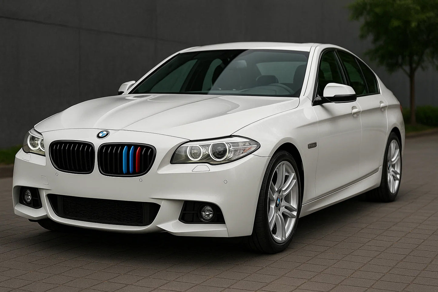 Grille Inserts 2010-2013 (3 pcs) for BMW 5 Series F-10/11/07 2010-2016 - image 1