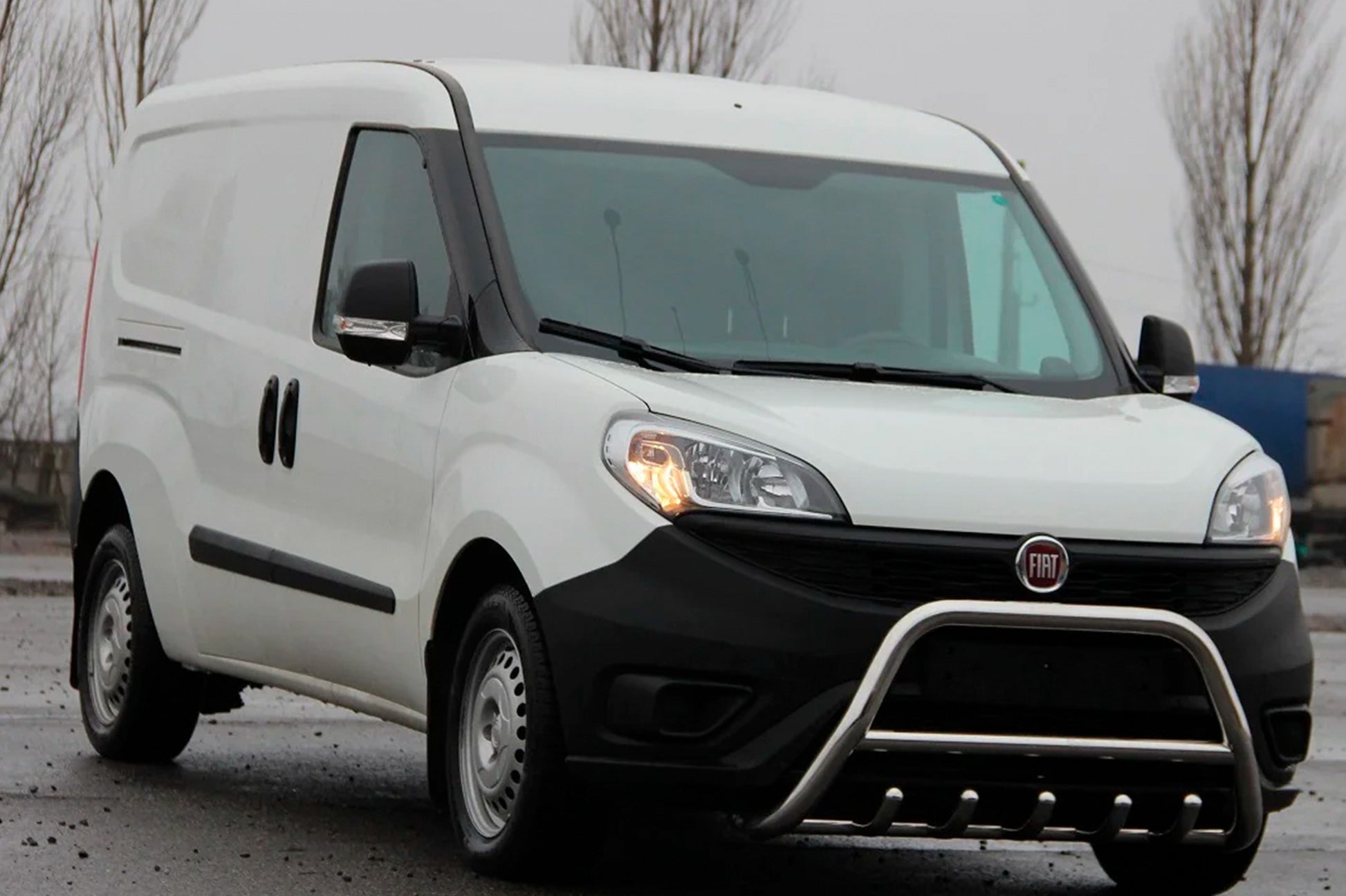 Bull Bar WT003 (Stainless Steel) for Fiat Doblo II 2010-2022 - image 1