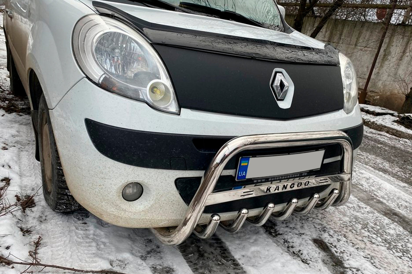 Bull Bar WT003/004 (Stainless Steel) for Renault Kangoo 2008-2020 - image 3