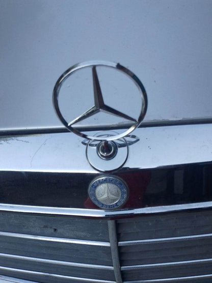 Sight emblem without inscription (for 1984-1993) for Mercedes E-class W124 1984-1997 - Reelken Auto