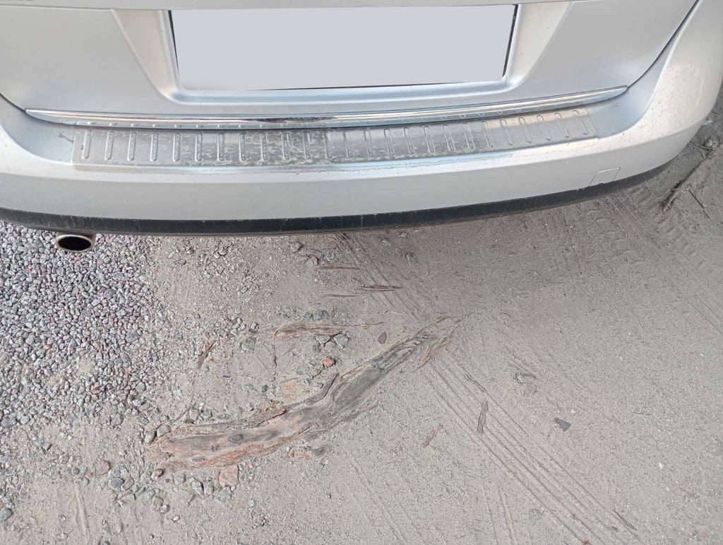 Rear bumper protector Carmos (SW only) for Volkswagen Passat B6 2006-2012 - image 1