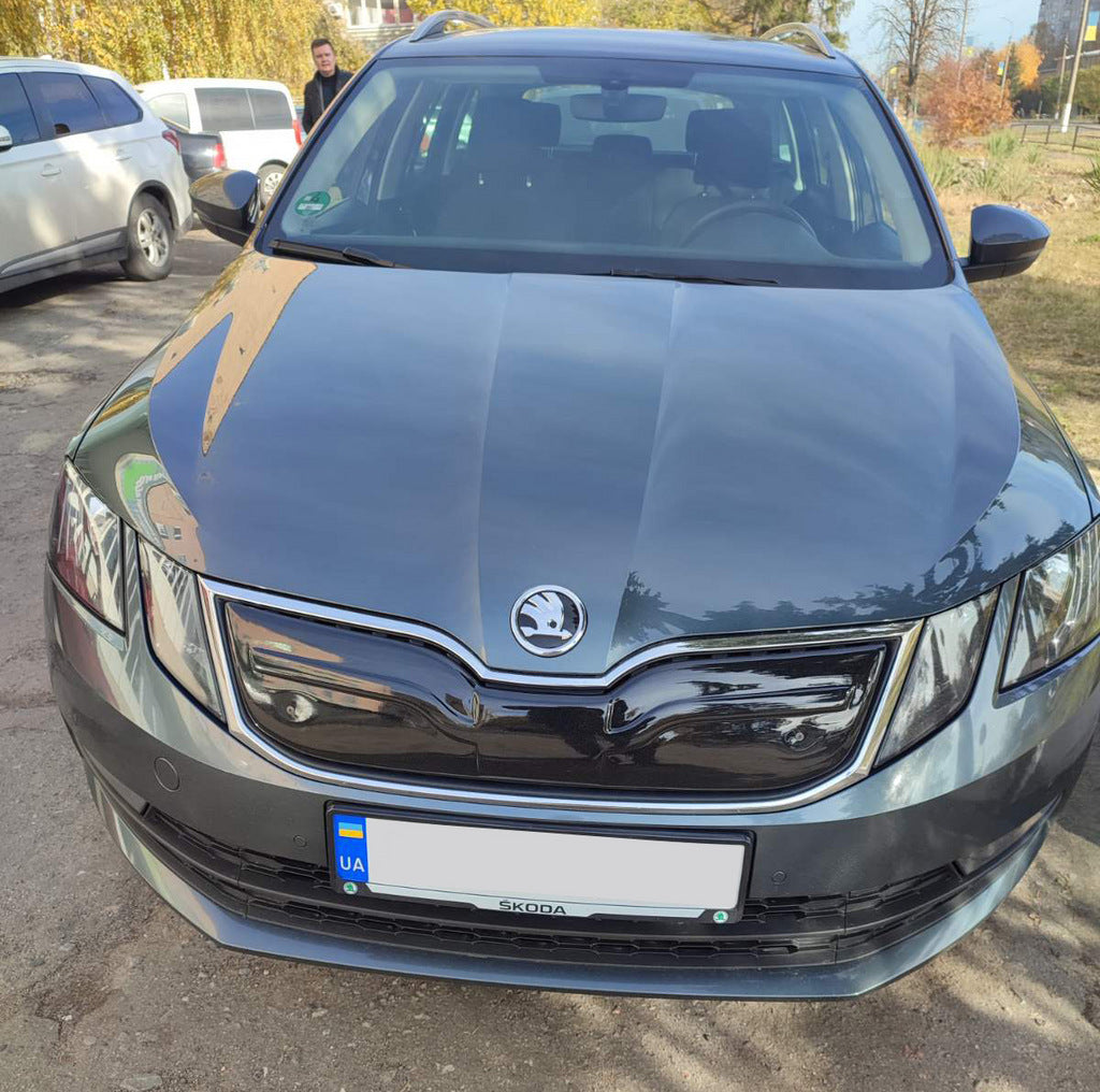 Winter grill (2017-2020) for Skoda Octavia III A7 2013-2019 - image 5