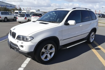 Side Steps Bosphorus Grey (2 pcs, Aluminum) for BMW X5 E53 1999-2006 - image 1