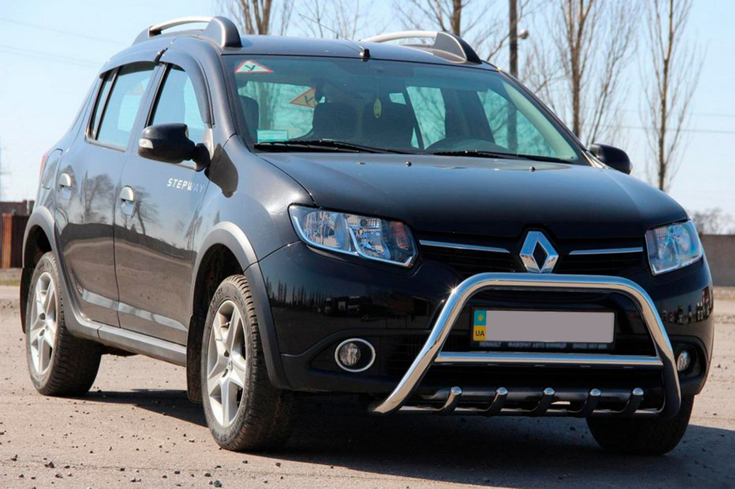 Front Bar WT003 (Stainless Steel) for Dacia Sandero 2013-2020 - image 3