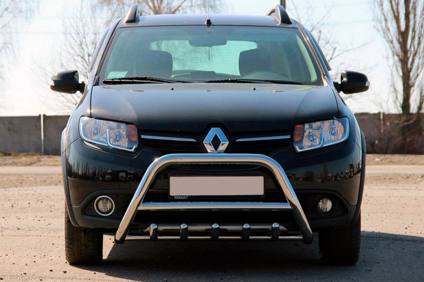 Front Bar WT003 (Stainless Steel) for Dacia Sandero 2013-2020 - image 2