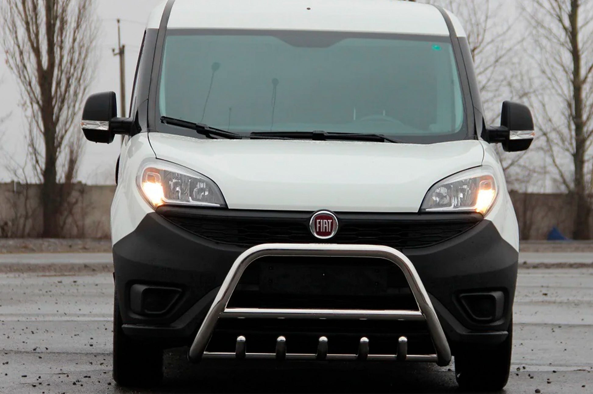 Bull Bar WT003 (Stainless Steel) for Fiat Doblo II 2010-2022 - image 4