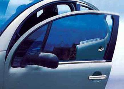 External edging of glasses (2 pcs., stainless steel) for Citroen C-2 2003-2009 - Reelken Auto