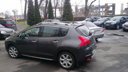 Roof rails Skyport Gray for Peugeot 3008 2008-2016 - Reelken Auto