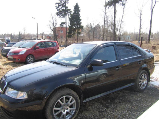 Outlining windows (4 pcs, stainless steel) for Skoda Octavia I Tour A4 1996-2010 - Reelken Auto