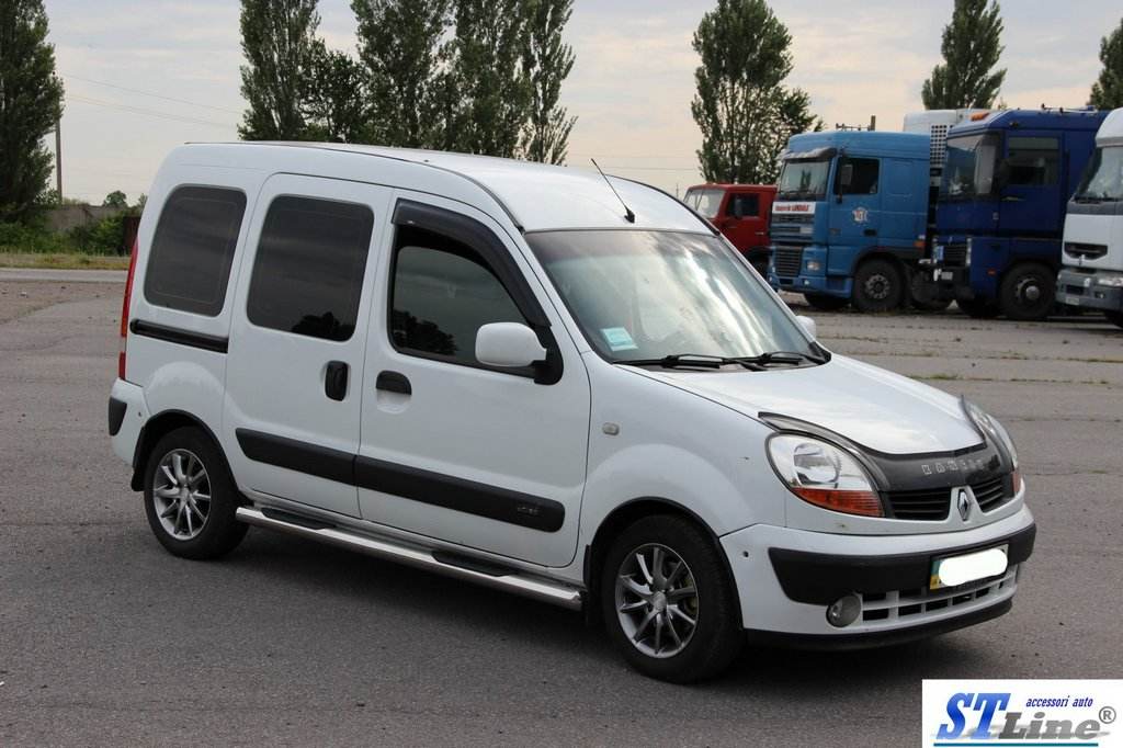 The side tube (2 PCs., stainless.) for Renault Kangoo 1998-2008 - Reelken Auto