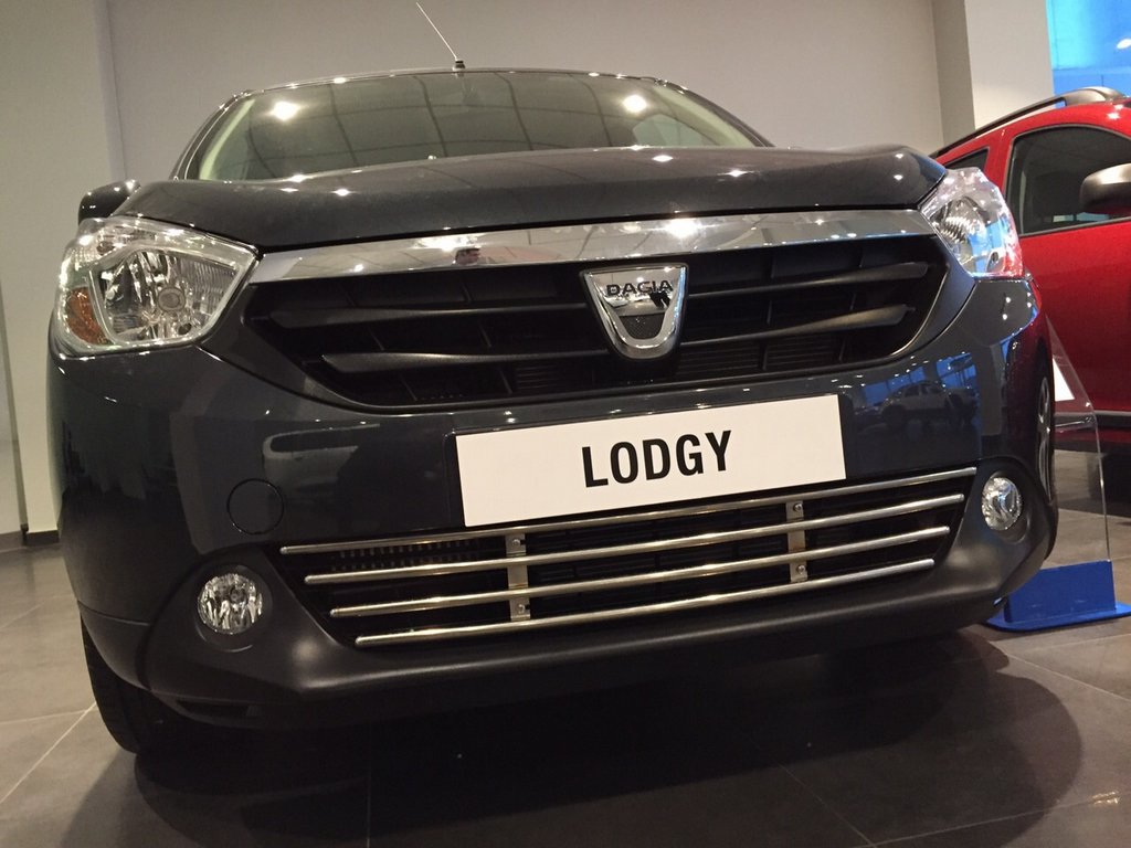 Front Bumper Grille Stainless Steel for Renault Lodgy 2013-2022 - image 7